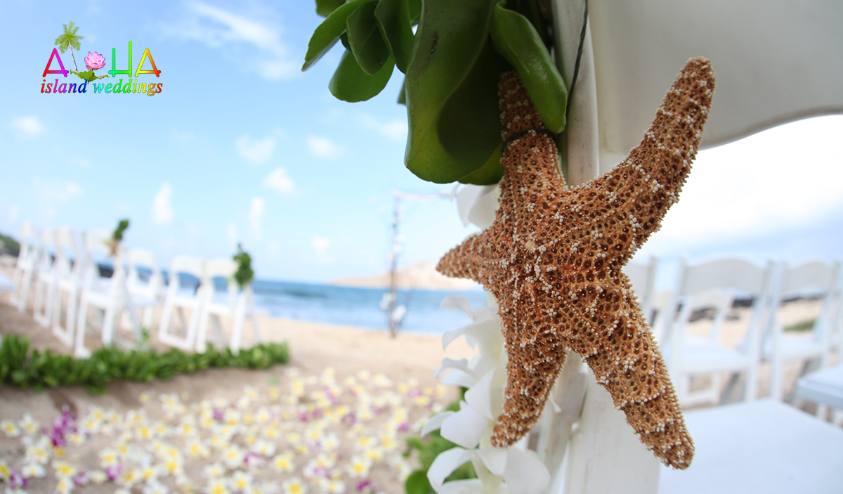 Large star fish from the sea on the white folding chair at beach wedding